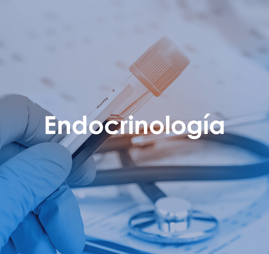 galeria_endocrinologia1